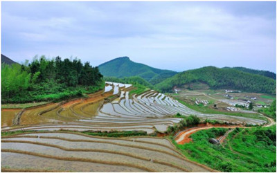 中標(biāo)| 北京泰豪中標(biāo)崇義縣河長制數(shù)據(jù)信息平臺項(xiàng)目