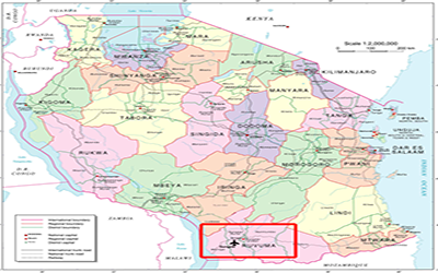 快訊｜坦桑尼亞松蓋阿機場迎來了泰豪人的身影！